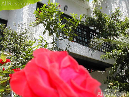 Happy Days Hotel 15